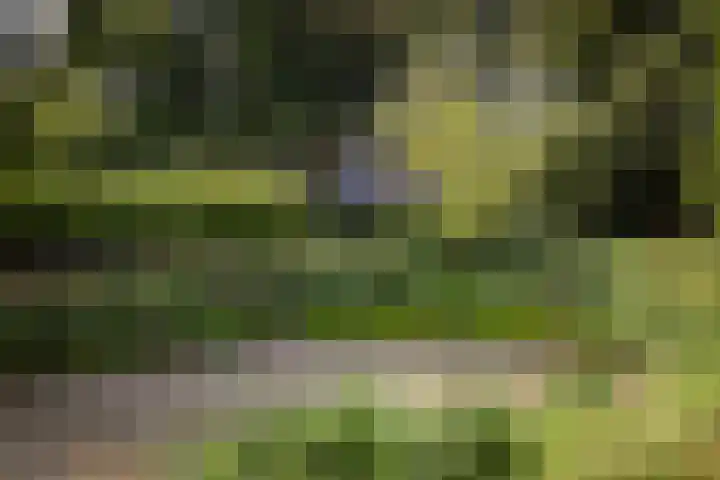 Loolaan 36 Doetinchem thumbnail 93