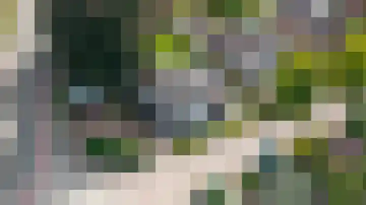 Loolaan 36 Doetinchem thumbnail 94