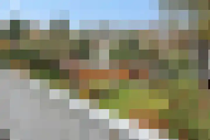 Loonsebaan 44 Vught thumbnail 22