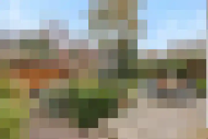 Loonsebaan 44 Vught thumbnail 40
