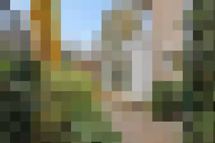 Loonsebaan 44 Vught thumbnail 42