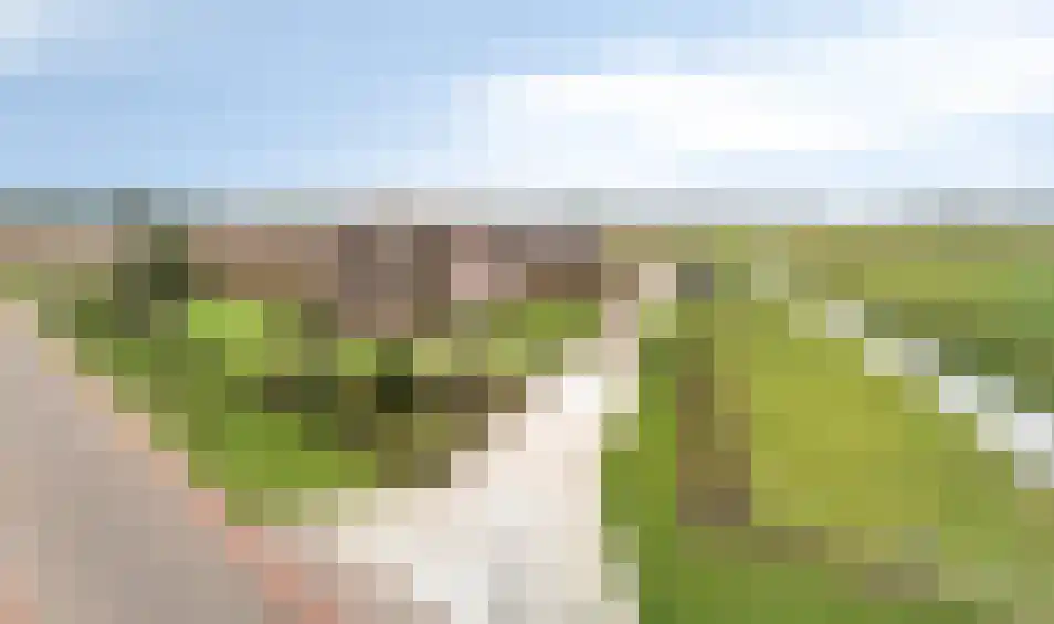 Loonseweg 26 Westerbeek thumbnail 37