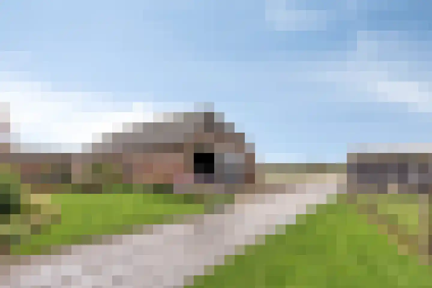 Loonseweg 26 Westerbeek thumbnail 39