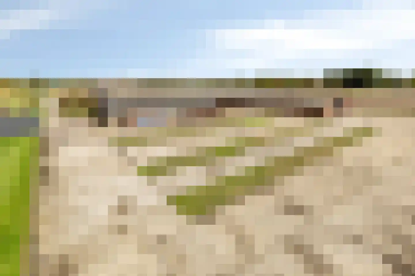 Loonseweg 26 Westerbeek thumbnail 51