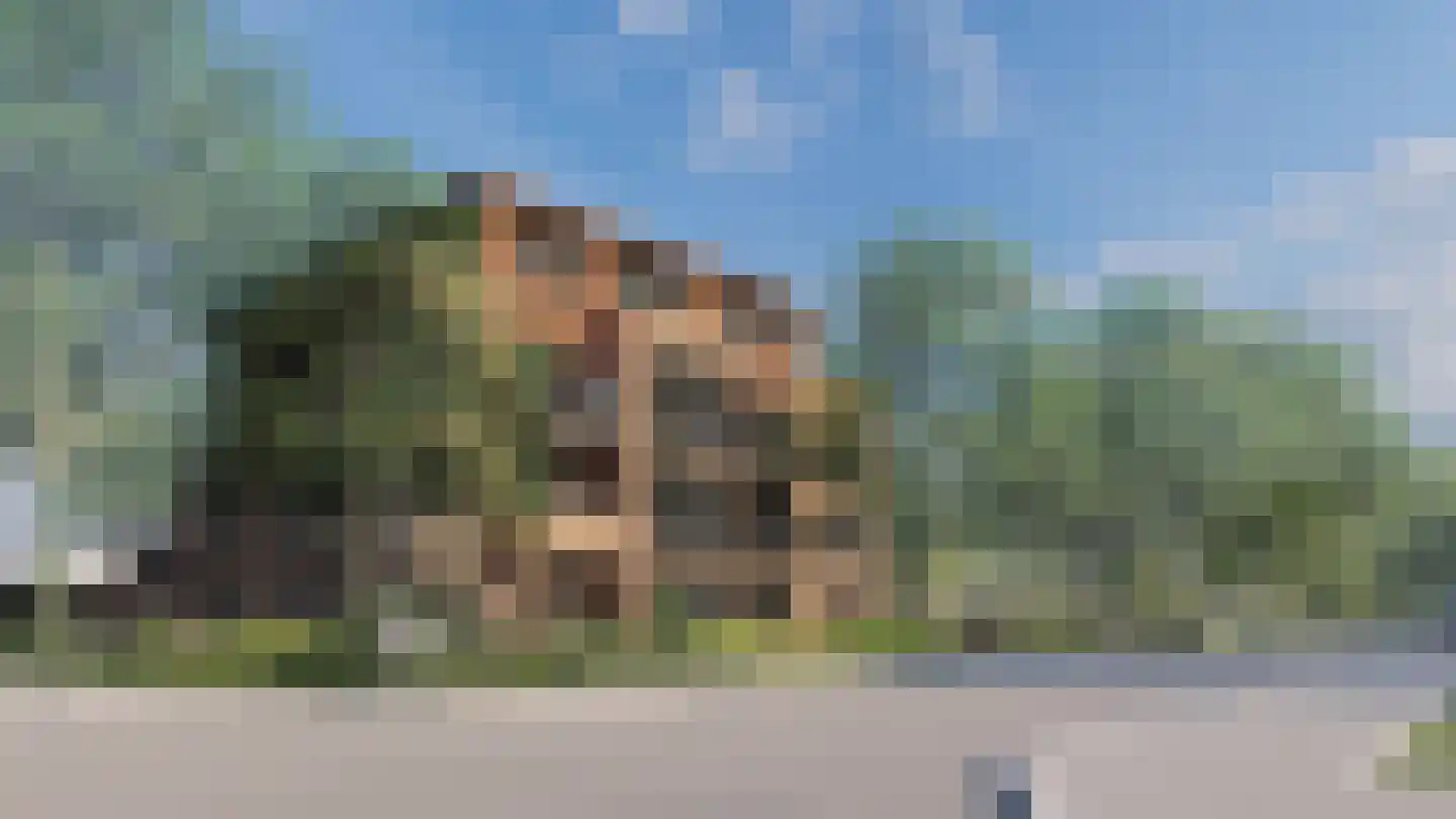 Loopakker Zuid-Scharwoude