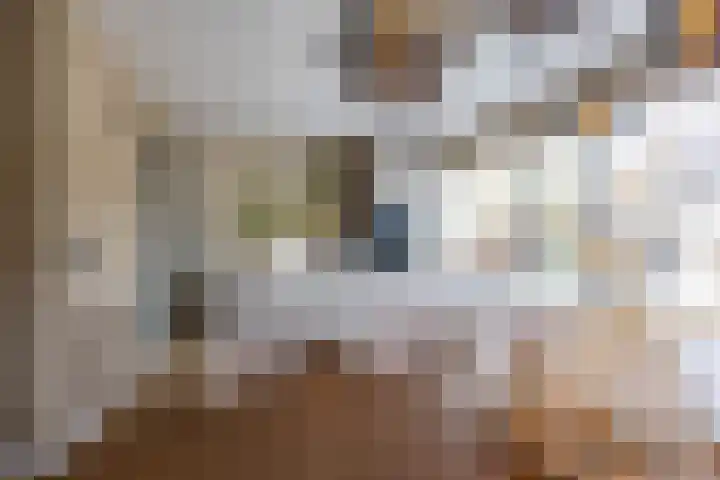 Loopplank 36 Groningen thumbnail 12