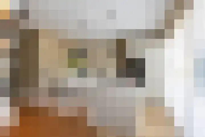 Loopplank 36 Groningen foto 2