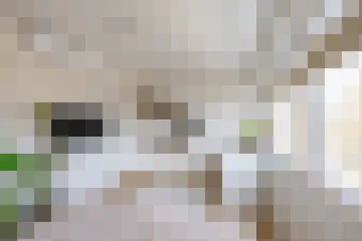 Loopplank 36 Groningen thumbnail 20