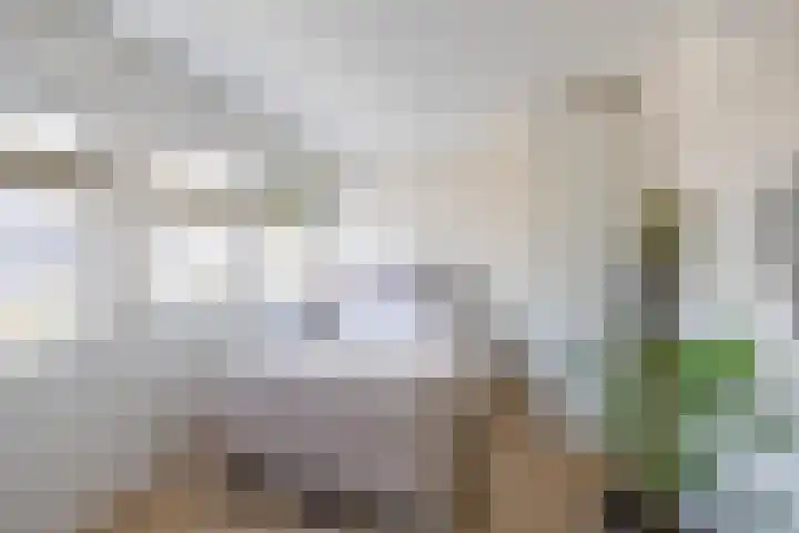 Loopplank 36 Groningen thumbnail 21