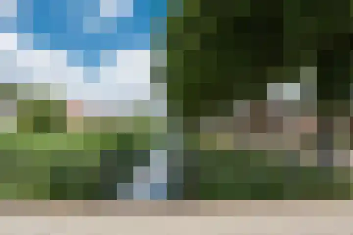 Loopplank 36 Groningen thumbnail 25