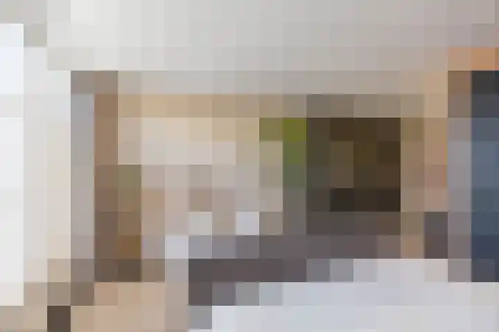 Loopplank 36 Groningen thumbnail 32