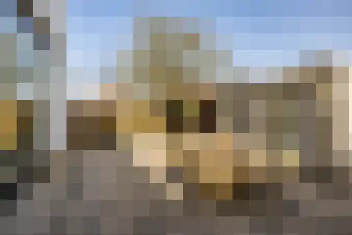 Loopplank 36 Groningen thumbnail 42