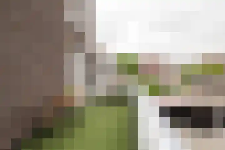 Loopplank 36 Groningen thumbnail 44