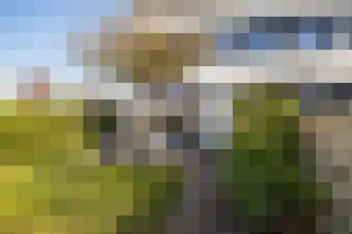 Loopplank 36 Groningen thumbnail 46