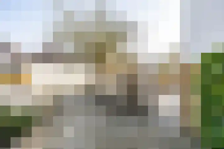 Loopplank 36 Groningen thumbnail 48