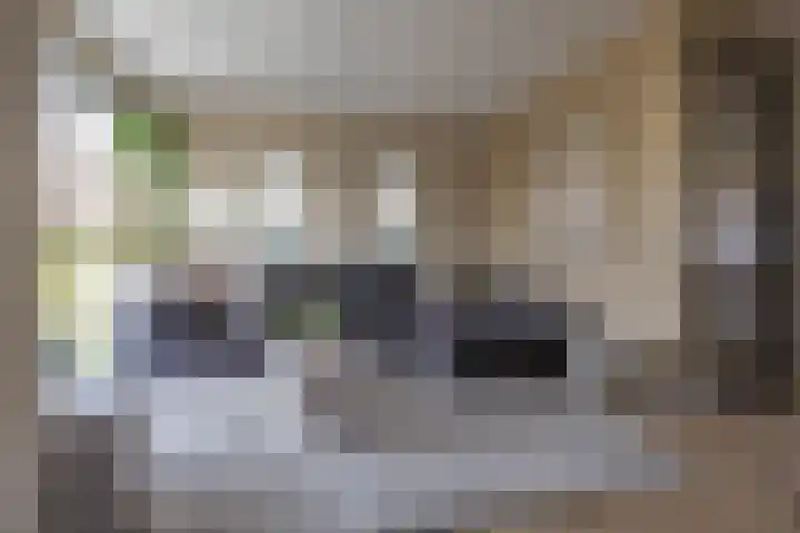 Loopplank 36 Groningen thumbnail 9