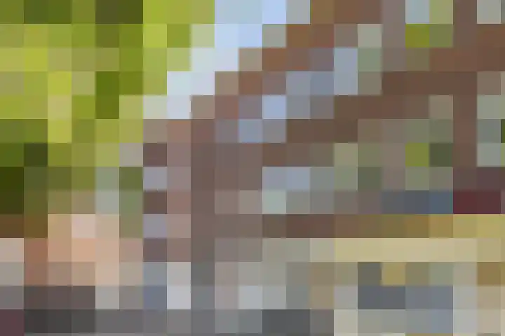 Loosduinsekade 339 dans Den Haag