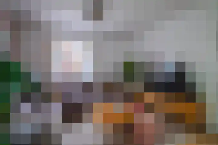 Loostraat 44 a Loo Gld thumbnail 16