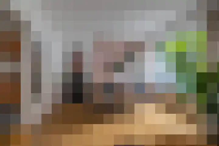 Loostraat 44 a Loo Gld thumbnail 17