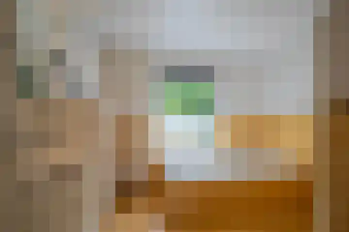 Loostraat 44 a Loo Gld thumbnail 23