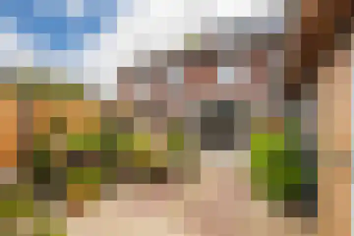 Loostraat 44 a Loo Gld thumbnail 29