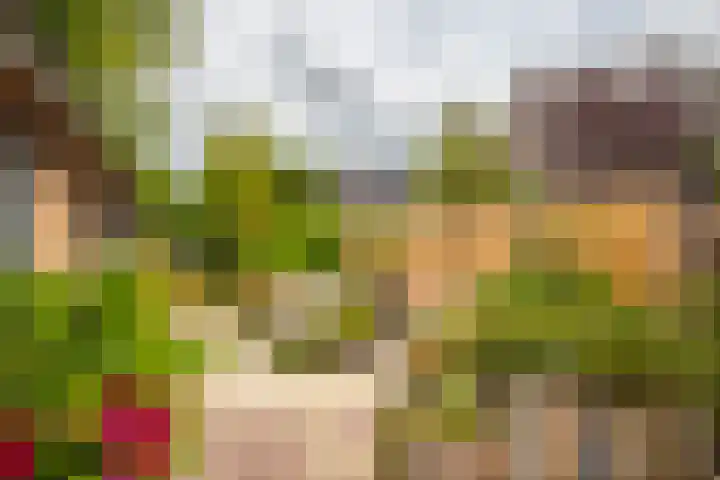Loostraat 44 a Loo Gld thumbnail 31