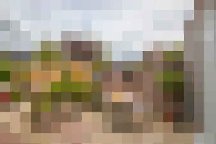 Loostraat 44 a Loo Gld thumbnail 32