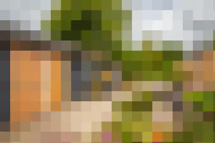 Loostraat 44 a Loo Gld thumbnail 33