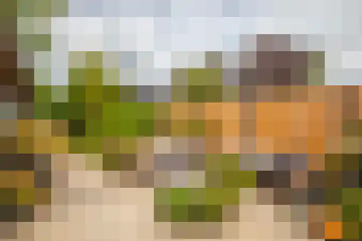 Loostraat 44 a Loo Gld thumbnail 34
