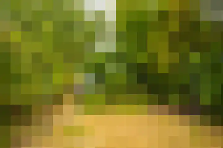 Loostraat 44 a Loo Gld thumbnail 35