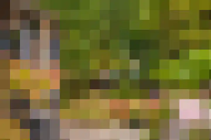 Loostraat 44 a Loo Gld thumbnail 36