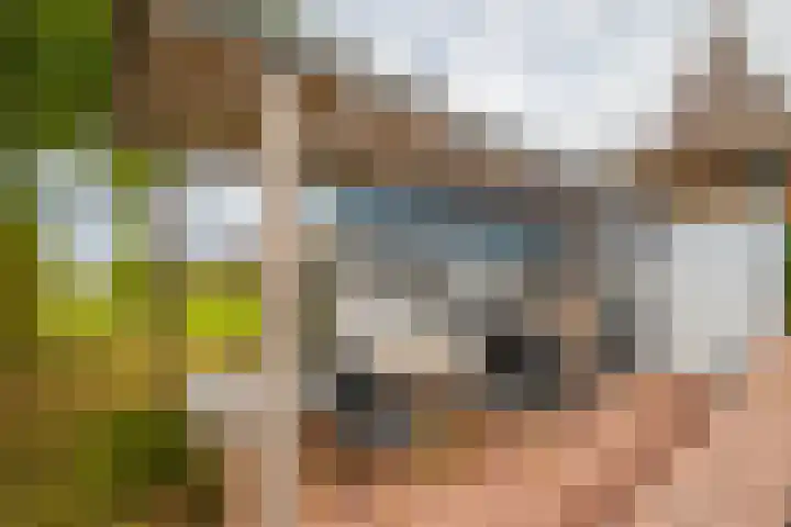 Loostraat 44 a Loo Gld thumbnail 46