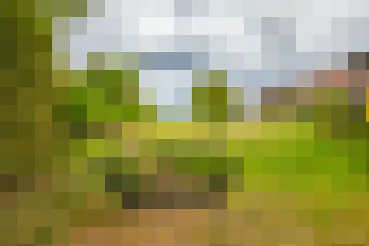 Loostraat 44 a Loo Gld thumbnail 48