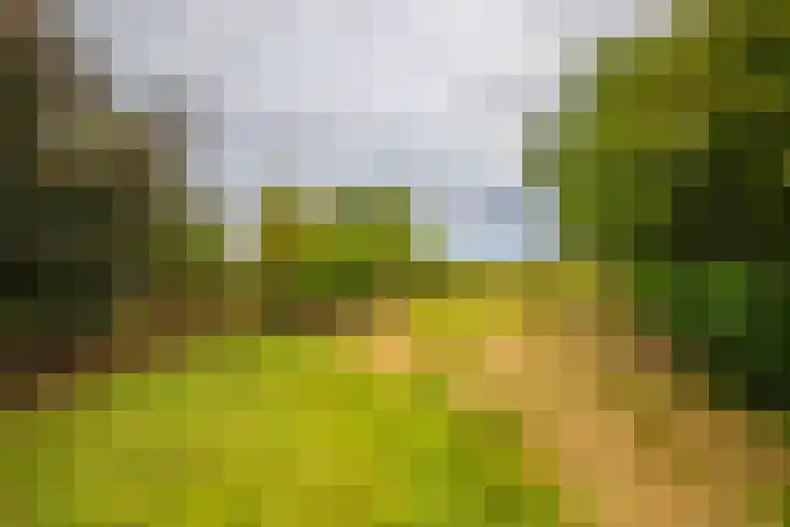 Loostraat 44 a Loo Gld thumbnail 51