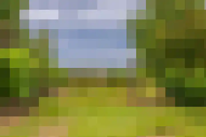 Loostraat 44 a Loo Gld thumbnail 53
