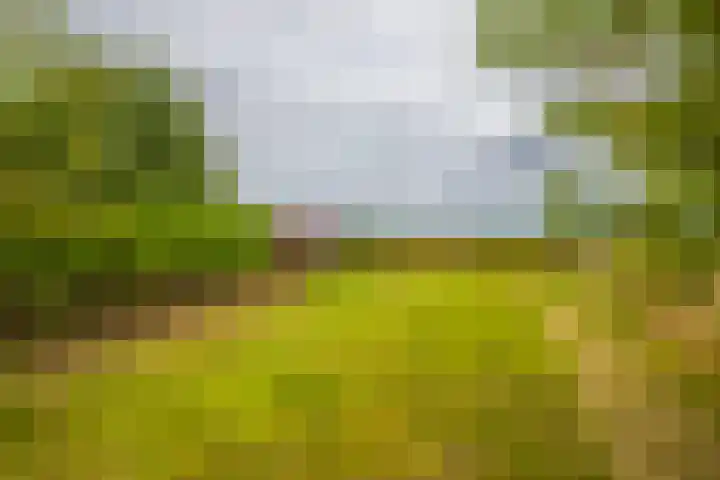 Loostraat 44 a Loo Gld thumbnail 54