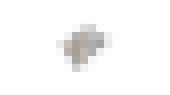 Loostraat 44 a Loo Gld thumbnail 61
