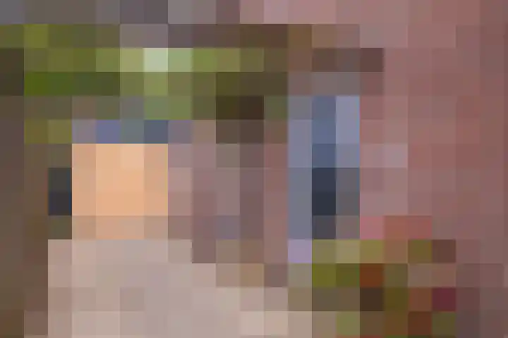 Loostraat 44 a Loo Gld thumbnail 8