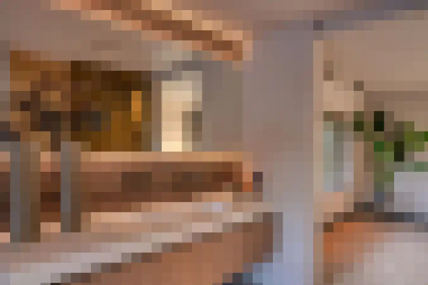 Loostraat 52 Loo Gld thumbnail 27