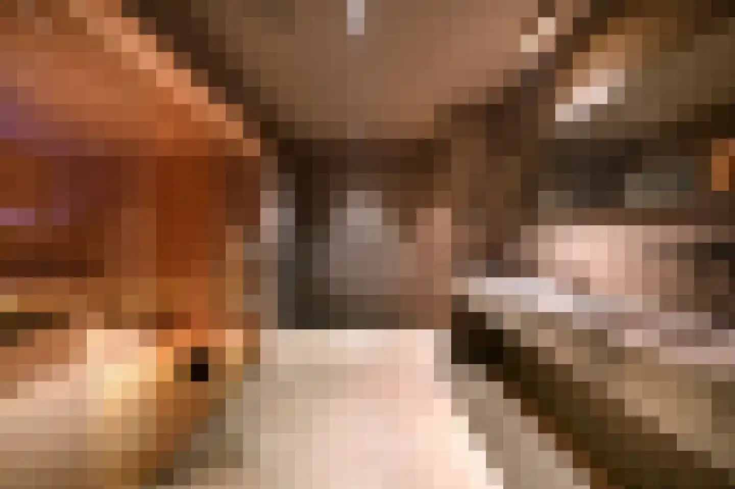 Loostraat 52 Loo Gld thumbnail 34