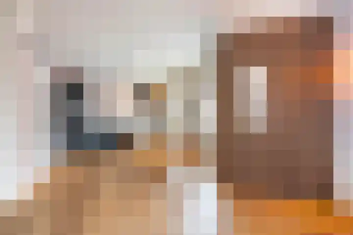 Lootsstraat 16 1 Amsterdam thumbnail 4
