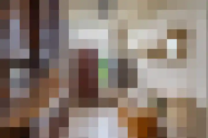 Looweg 2 Gasselte thumbnail 10