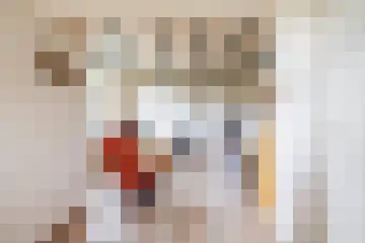Looweg 2 Gasselte thumbnail 11