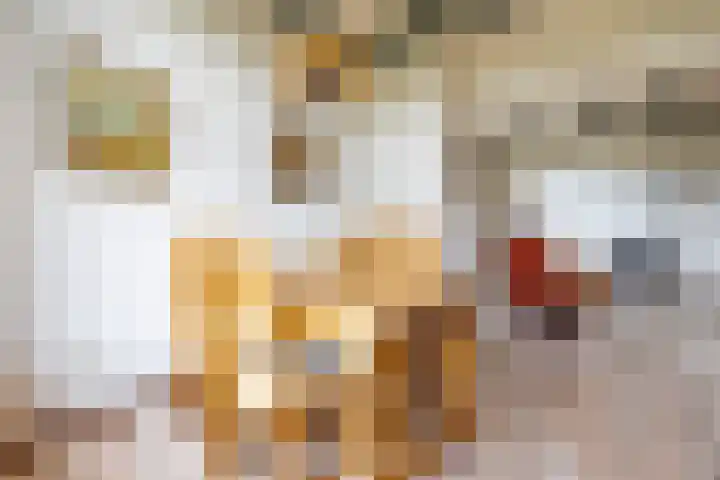 Looweg 2 Gasselte thumbnail 16