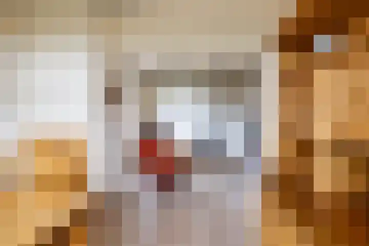 Looweg 2 Gasselte thumbnail 17