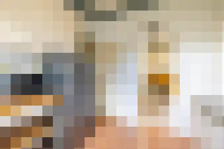 Looweg 2 Gasselte thumbnail 21