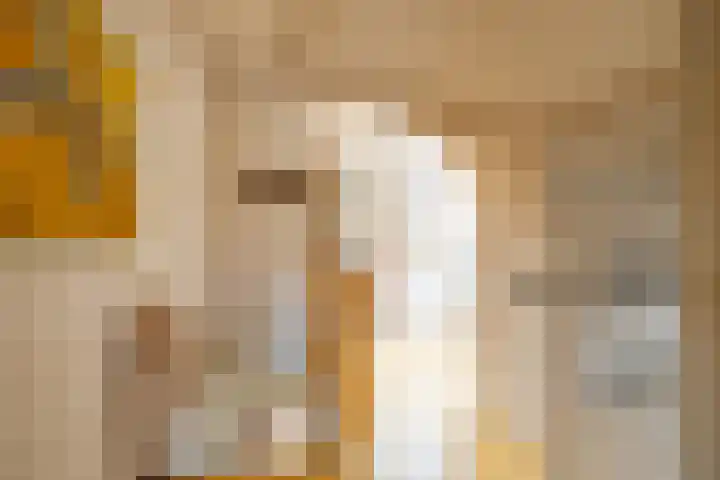 Looweg 2 Gasselte thumbnail 28