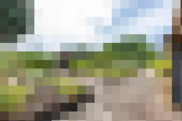 Looweg 2 Gasselte thumbnail 39