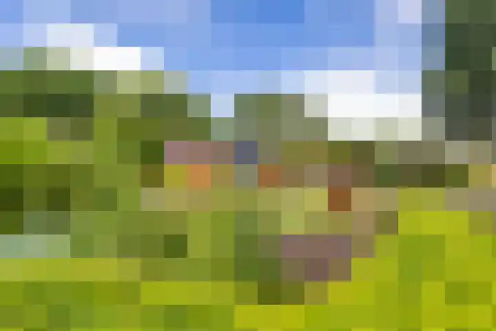 Looweg 2 Gasselte thumbnail 42