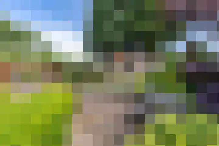 Looweg 2 Gasselte thumbnail 43